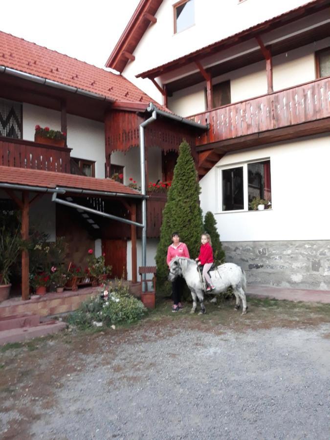 Molnar Vendeghaz Bed & Breakfast Praid Luaran gambar